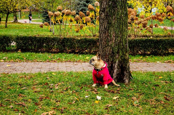 Comparateur en ligne : votre allié pour un produit naturel de meilleur choix