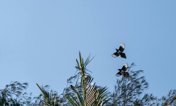 Choisir le bon fournisseur de produit naturel en ligne